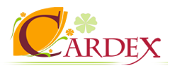 Logo-image